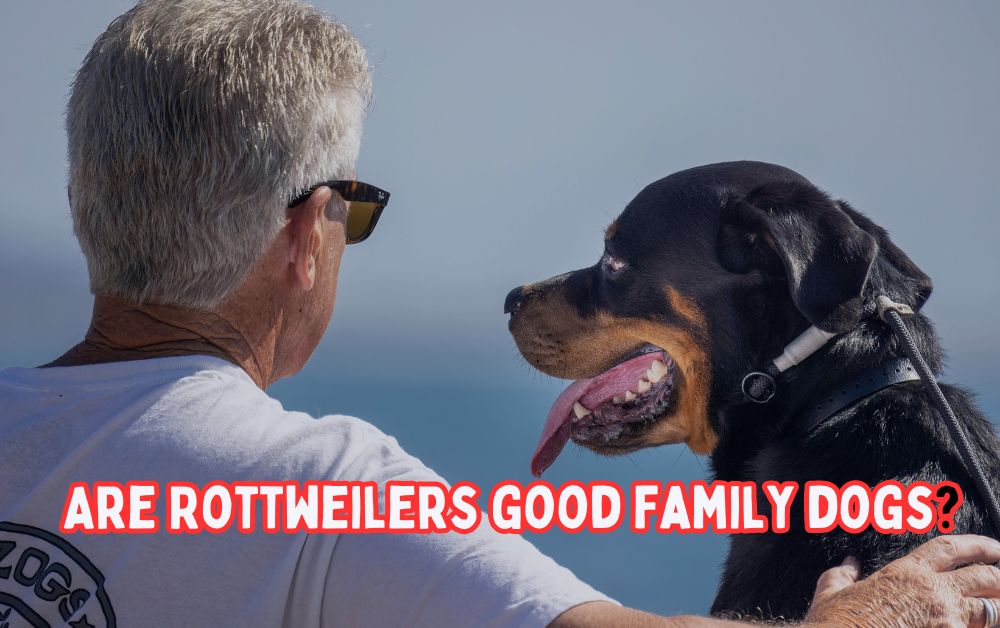 Are Rottweilers good family dogs?